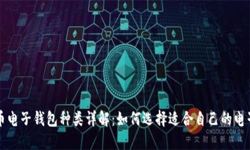 比特币电子钱包种类详解：如何选择适合自己的电子钱包