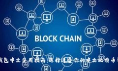 比特币钱包中文使用指南：选择适合你的中文比
