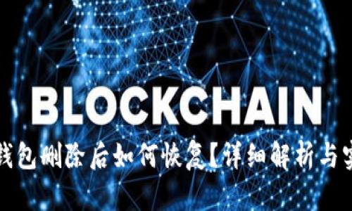 比特币钱包删除后如何恢复？详细解析与实用技巧
