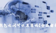 虚拟币各类钱包之间可以互转吗？全面解析与操