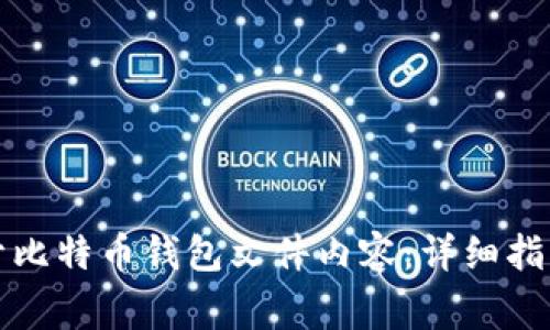如何安全打开比特币钱包文件内容：详细指南与注意事项