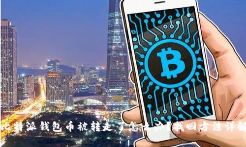 比特派钱包币被转走了怎么办？找回方法详解