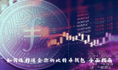 如何选择适合你的比特币钱包：全面指南