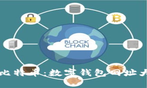 如何安全管理比特币：数字钱包网址大全及使用指南