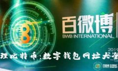 如何安全管理比特币：数字钱包网址大全及使用