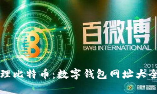 如何安全管理比特币：数字钱包网址大全及使用指南