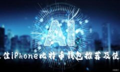 十大最佳iPhone比特币钱包推荐及使用指南