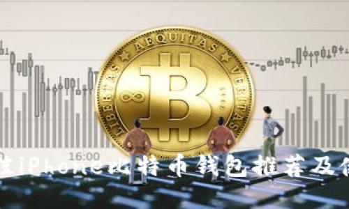 十大最佳iPhone比特币钱包推荐及使用指南