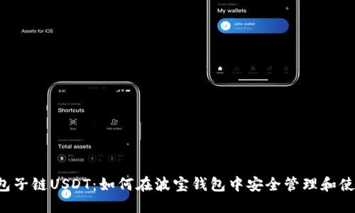 波宝钱包子链USDT：如何在波宝钱包中安全管理和使用USDT