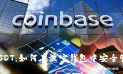 波宝钱包子链USDT：如何在波宝钱包中安全管理和