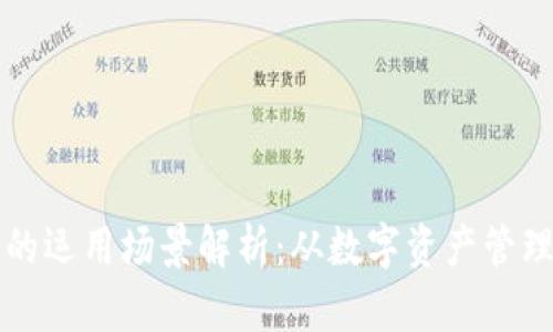 区块链钱包的运用场景解析：从数字资产管理到跨境支付