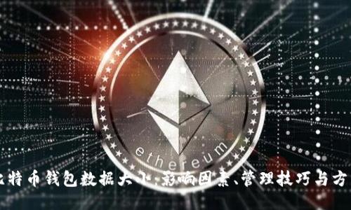 比特币钱包数据大小：影响因素、管理技巧与方法