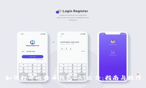 如何打开比特币钱包DAT文件：指南与技巧