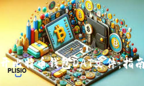 如何打开比特币钱包DAT文件：指南与技巧