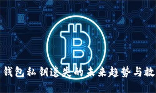 比特币钱包私钥遗失的未来趋势与救赎之路