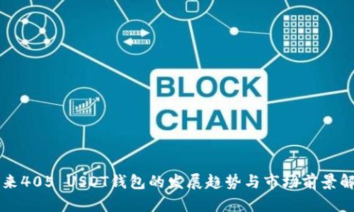 未来405 USDT钱包的发展趋势与市场前景解析