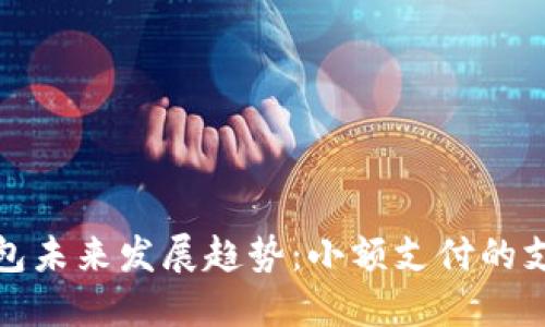比特币钱包未来发展趋势：小额支付的支持与机遇