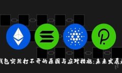 区块链钱包突然打不开的原因与应对措施：未来