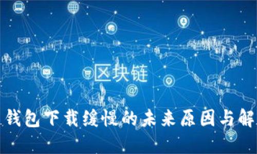 比特币钱包下载缓慢的未来原因与解决趋势