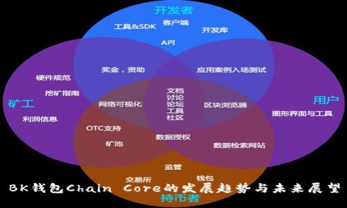 BK钱包Chain Core的发展趋势与未来展望