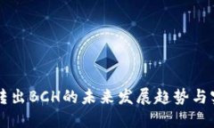 比特派转出BCH的未来发展趋势与实用指南