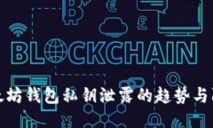 未来以太坊钱包私钥泄露的趋势与防护措施