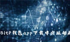 洞悉未来：BitP钱包app下载中文版的趋势与发展