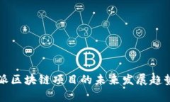 比特派区块链项目的未来发展趋势分析