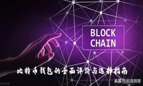 比特币钱包的全面评价与选择指南