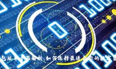 USDT钱包版本全面解析：如何选择最适合你的数字