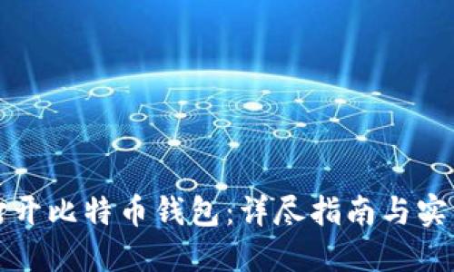 如何打开比特币钱包：详尽指南与实用技巧