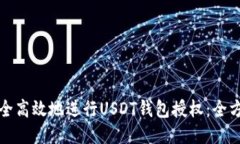 如何安全高效地进行USDT钱包授权：全方位指南