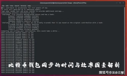 比特币钱包同步的时间与效率因素解析
