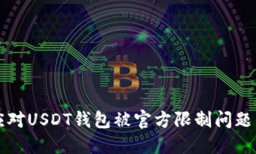 如何应对USDT钱包被官方限制问题的指南