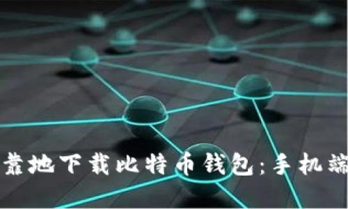 如何安全可靠地下载比特币钱包：手机端详解与推荐