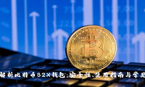 全面解析比特币B2X钱包：安全性、使用指南与常见问题