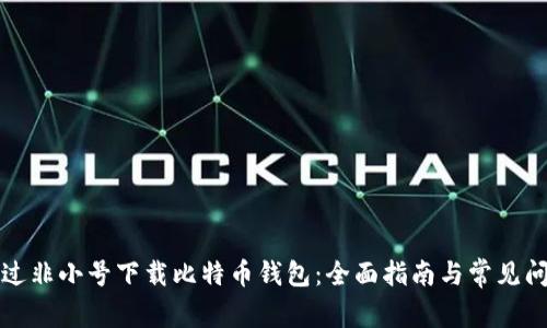 如何通过非小号下载比特币钱包：全面指南与常见问题解答