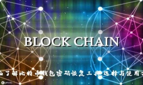 全面了解比特币钱包密码恢复工具：选择与使用方法