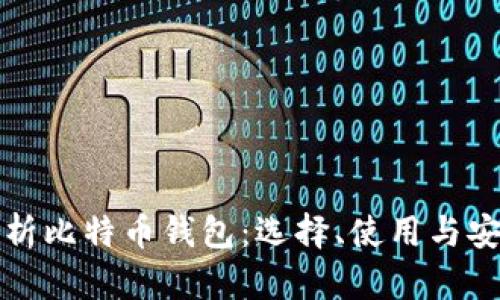 全面解析比特币钱包：选择、使用与安全指南