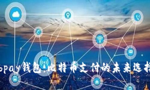 bpay钱包：比特币支付的未来选择