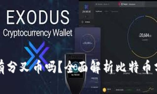 比特币钱包里有分叉币吗？全面解析比特币分叉与钱包管理