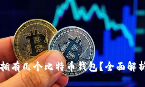 一个人可以拥有几个比特币钱包？全面解析及管理指南