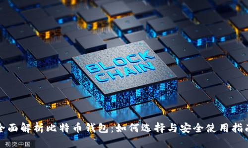 全面解析比特币钱包：如何选择与安全使用指南