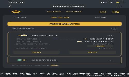 区块链钱包私钥丢失后的应对策略与解决方案