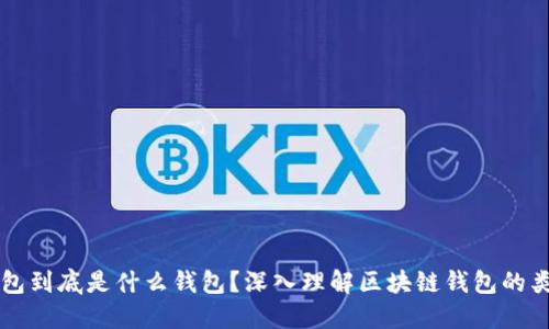 区块链钱包到底是什么钱包？深入理解区块链钱包的类型与功能