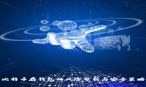 比特币存钱包的风险分析与安全策略