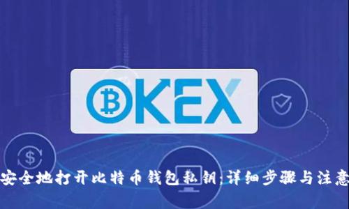 如何安全地打开比特币钱包私钥：详细步骤与注意事项